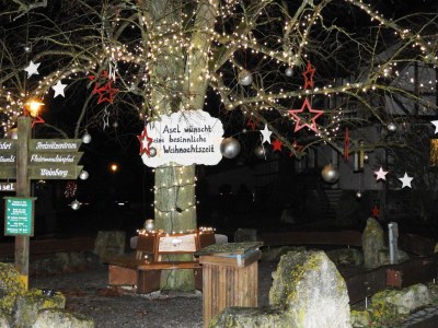 Holiday house Carolin with sauna - Environment photo 36