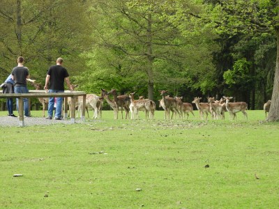 Holiday house Carolin with sauna - Environment photo 38