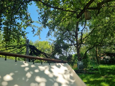 Holiday apartment Im Gärtnergassl - Outdoor photo 6