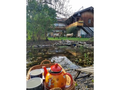 Holiday apartment Im Gärtnergassl - Outdoor photo 9