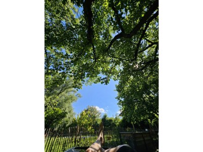 Holiday apartment Im Gärtnergassl - Outdoor photo 11