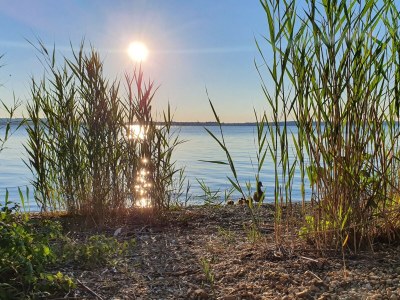 Holiday apartment Im Gärtnergassl - Environment photo 27