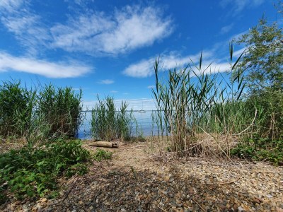 Holiday apartment Im Gärtnergassl - Environment photo 30