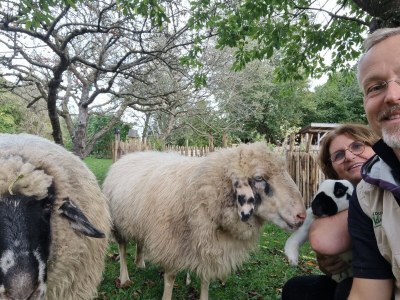 Holiday apartment Im Gärtnergassl - Document photo 41