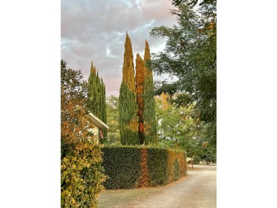 Holiday apartment Il Granaio - Outdoor photo 8