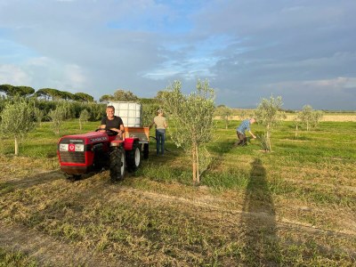 Holiday apartment Il Granaio - Outdoor photo 10