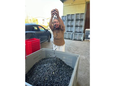 Holiday apartment Il Granaio - Outdoor photo 16