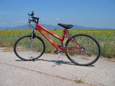 Holiday apartment Il Granaio - Environment photo 28