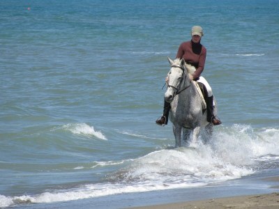 Holiday apartment Il Granaio - Environment photo 29