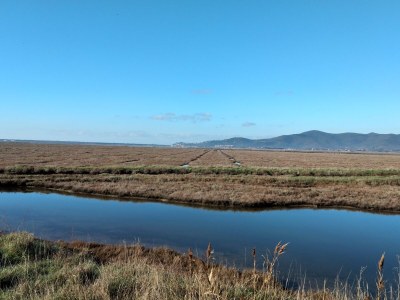 Holiday apartment Il Granaio - Environment photo 34