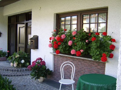Holiday apartment Am Fuchsgraben - Outdoor photo 2