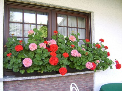 Holiday apartment Am Fuchsgraben - Outdoor photo 3