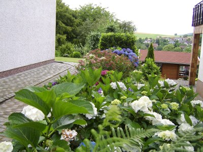 Holiday apartment Am Fuchsgraben - Outdoor photo 7