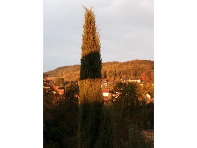 Holiday apartment Am Fuchsgraben - Outdoor photo 9