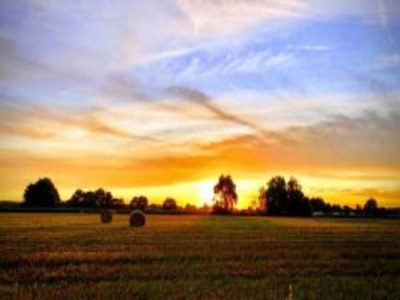 Holiday house Zen-Zimmer in Wohngemeinschaf (Eigentümer vor Ort) - Environment photo 24