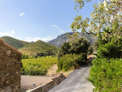 Holiday house Ferienhaus in Tautavel nahe Gouleyrous-Schlucht - Environment photo 28