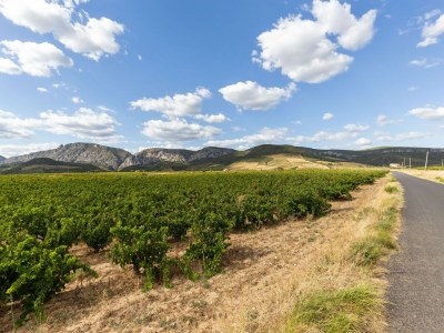 Holiday house Ferienhaus in Tautavel nahe Gouleyrous-Schlucht - Environment photo 31