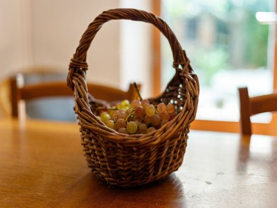 Holiday house Ferienhaus in Tautavel nahe Gouleyrous-Schlucht - Outdoor photo 32