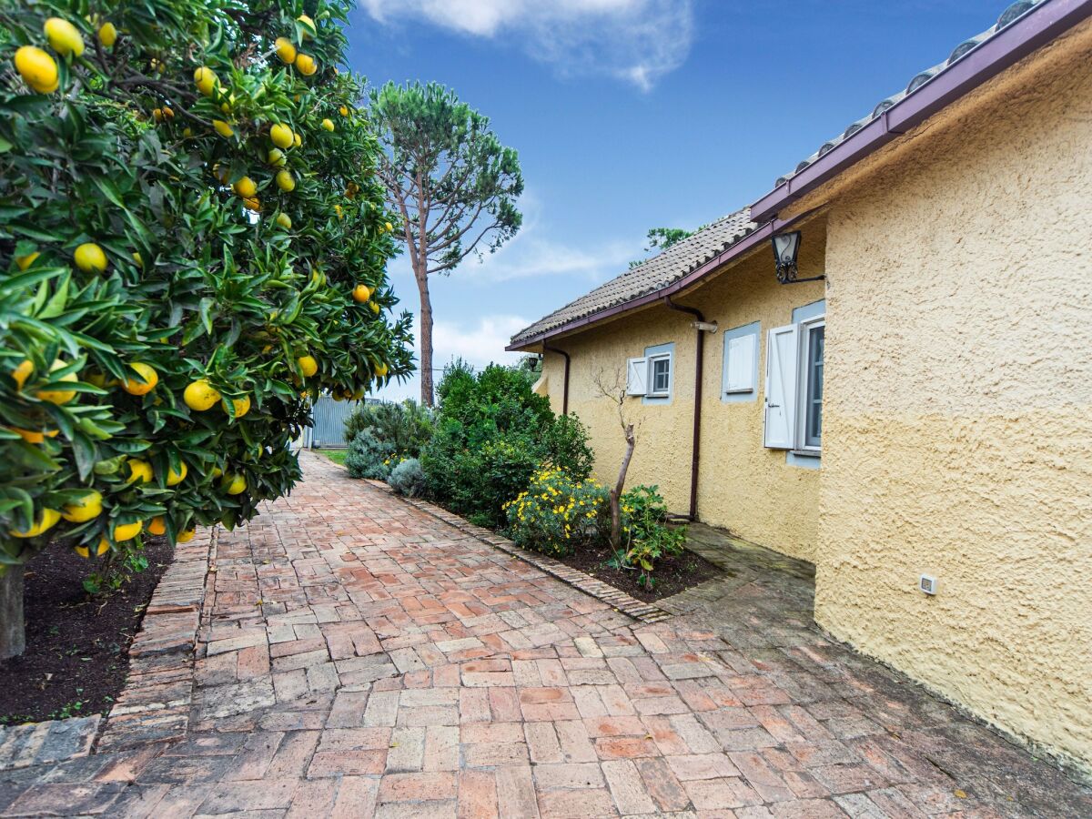 Holiday house Beautiful holiday home in Ardea with garden - Outdoor photo 5