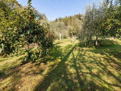 Holiday house Belvilla by Oyo Casa Polvere di Stelle - Environment photo 28