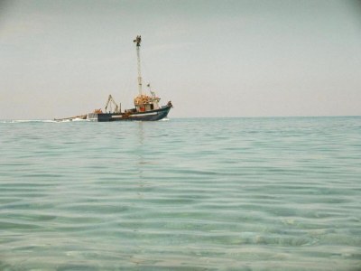 Holiday house Villa with Pool, Pets & WiFi - Environment photo 26