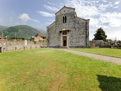 Villa Villa with garden near Versilia Beach - Environment photo 34