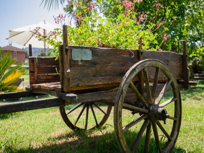 Villa Villa with garden near Versilia Beach - Outdoor photo 37