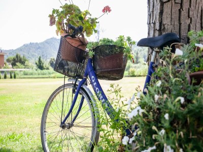 Villa Villa with garden near Versilia Beach - Outdoor photo 38