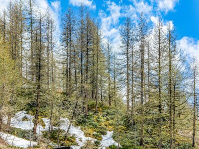 Apartment Wohnung in Cervinia mit Ski-Zugang - Environment photo 31