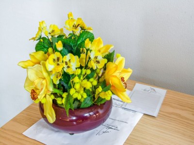 Apartment Wohnung in Cervinia mit Ski-Zugang - Outdoor photo 32