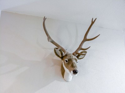 Apartment Wohnung in Cervinia mit Ski-Zugang - Outdoor photo 34