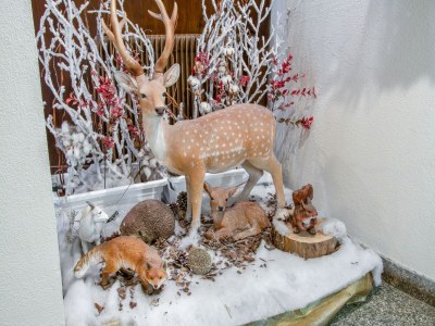 Apartment Wohnung in Cervinia mit Ski-Zugang - Outdoor photo 38