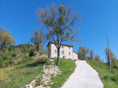 Holiday house Entfliehen Sie mit Pool und WLAN - Outdoor photo 13