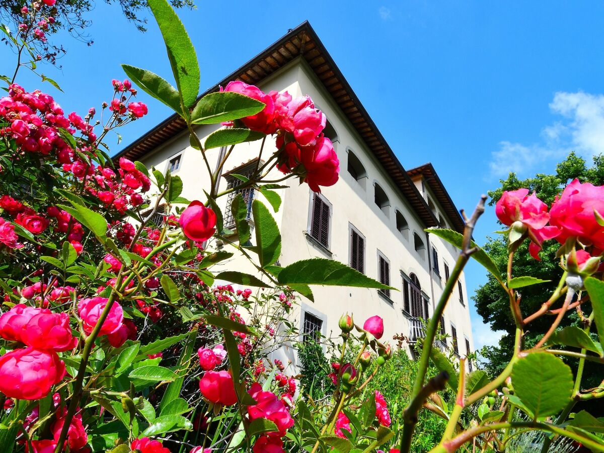 Villa Rustic Elegance Near Florence - Outdoor photo 2