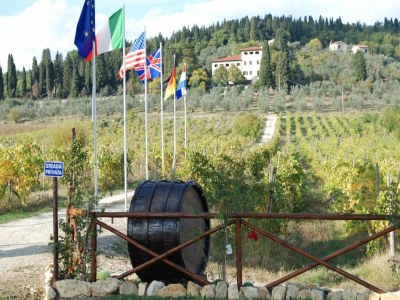 Villa Rustic Elegance Near Florence - Outdoor photo 3