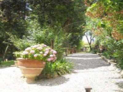 Villa Rustic Elegance Near Florence - Outdoor photo 6
