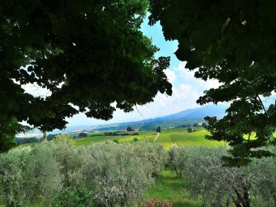 Villa Rustic Elegance Near Florence - Outdoor photo 9