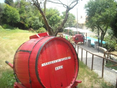 Villa Rustic Elegance Near Florence - Outdoor photo 10