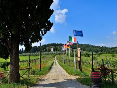 Villa Rustic Elegance Near Florence - Outdoor photo 11