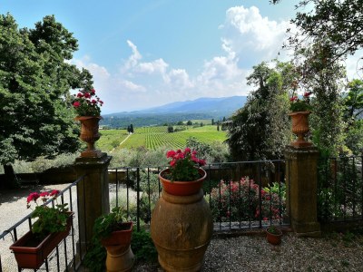 Villa Rustic Elegance Near Florence - Outdoor photo 13