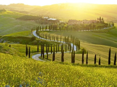 Villa Rustic Elegance Near Florence - Environment photo 39