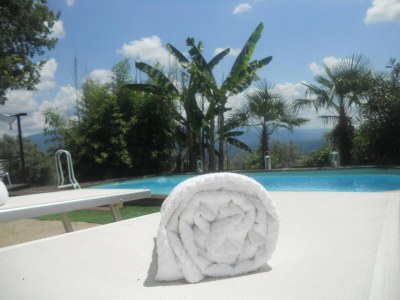 Villa Rustic Elegance Near Florence - Outdoor photo 40