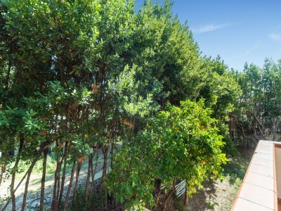 Apartment Apartment in San Salvo mit Garten und Grill - Outdoor photo 6