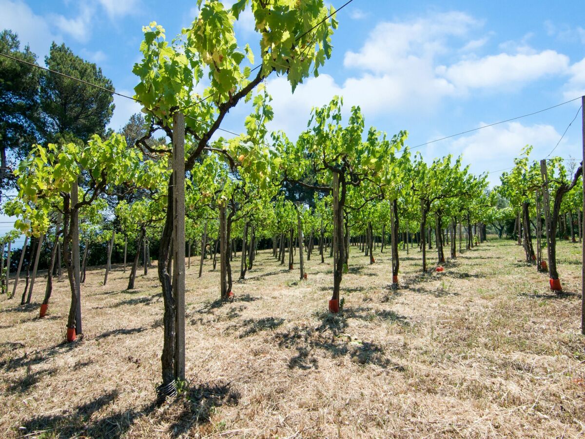 Holiday house Bezaubernde Küste mit Aussicht - Outdoor photo 5