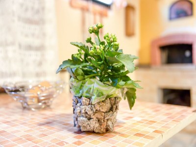 Apartment Belvilla by OYO CASA MELIS - Outdoor photo 39