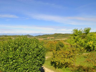 Holiday house Apartment in Casale with Panoramic Vineyard Views - Environment photo 33