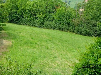 Holiday house Apartment in Casale with Panoramic Vineyard Views - Environment photo 34