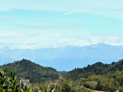 Holiday house Apartment in Casale with Panoramic Vineyard Views - Environment photo 35