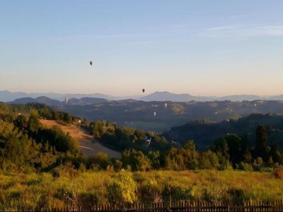 Holiday house Tuscany Bliss: Garden Retreat - Environment photo 23