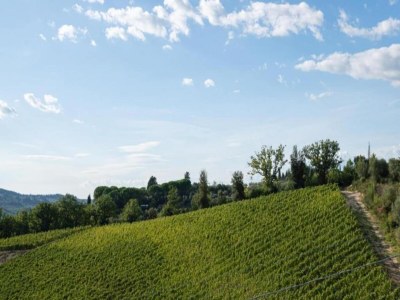 Holiday house Tuscany Bliss: Garden Retreat - Environment photo 24